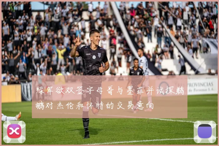 绿军欲双签字母哥与墨菲并试探鹈鹕对杰伦和怀特的交易意向